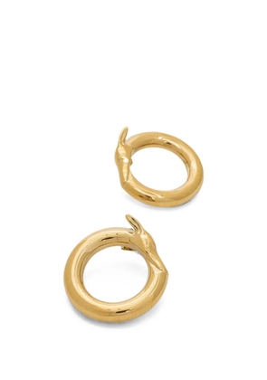 Trussardi Greyhound-detail hoop earrings - Gold