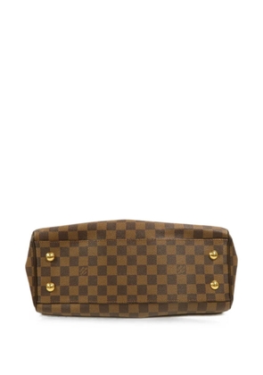 Louis Vuitton Pre-Owned PM Trevi Damier-pattern shoulder bag - Brown