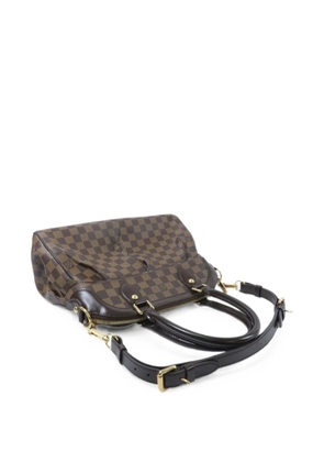 Louis Vuitton Pre-Owned Damier Trevi tote bag - Brown