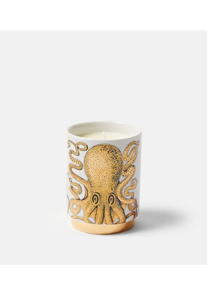 Fornasetti Polipo Immaginazione scented candle
