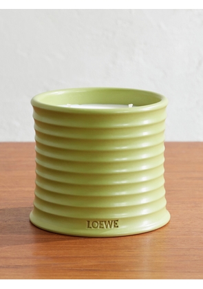LOEWE Perfumes - Pistachio Medium Scented Candle - Men - Green
