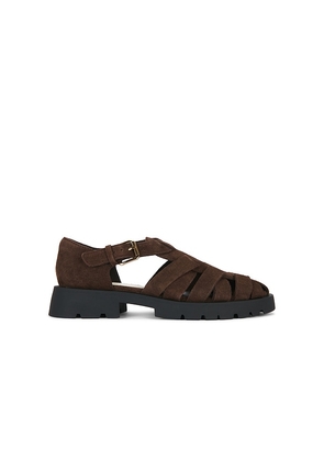 Dolce Vita Elsah Sandal in Chocolate. Size 6. Also in 6.5, 7, 7.5, 8, 8.5, 9, 9.5, 10.