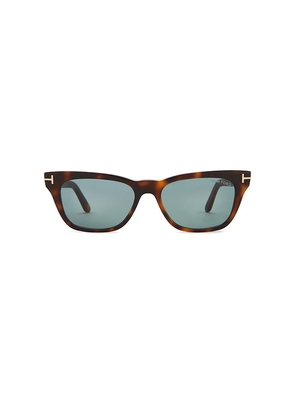 TOM FORD Penn Acetate Sunglasses in Brown.