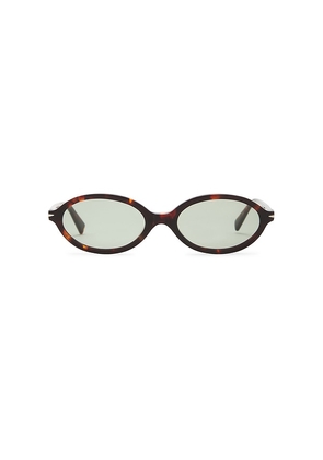 SAD Eyewear Orchid Tinted Sunglasses in Brown.