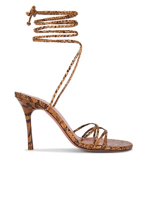 AMINA MUADDI Lori 95 Lace Up Sandal in Tan Snake - Brown. Size 41 (also in 36, 37, 37.5, 38, 38.5, 39, 39.5, 40).