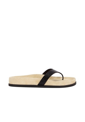 Toteme Swift Sandal in Beige & Black - Black. Size 41 (also in 36, 37, 38, 39, 40).