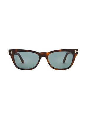 TOM FORD Penn Acetate Sunglasses in Brown - Brown. Size all.