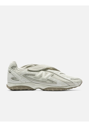 204V