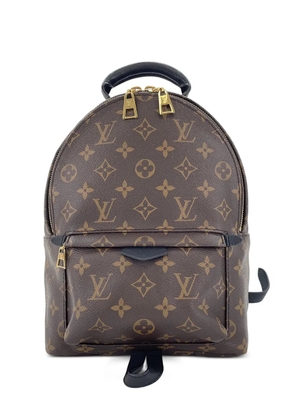 Louis Vuitton Pre-Owned 2019 Palm Springs Monogram backpack - Brown