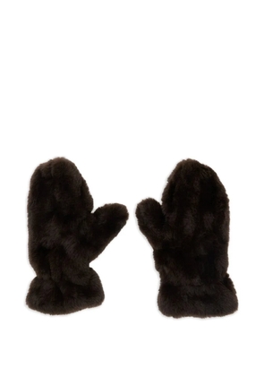 Apparis coco fur gloves - Brown