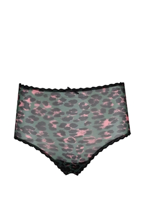 Laura Urbinati leopard-print lace-trim briefs - Green