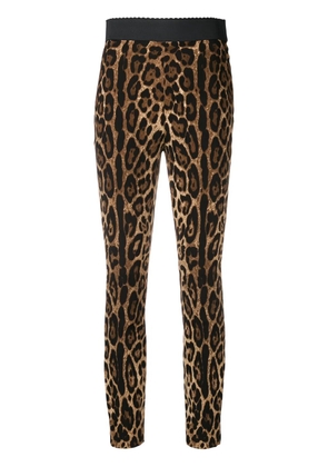 Dolce & Gabbana leopard-print cady leggings - Black
