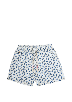 MC2 Saint Barth gecko-print drawstring swim shorts - Neutrals