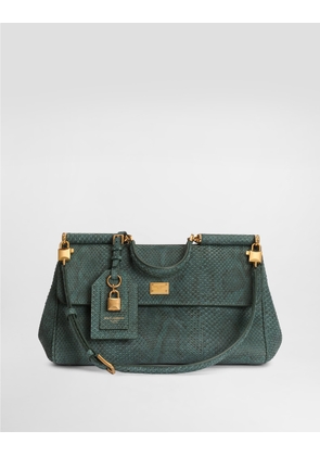Dolce & Gabbana Borsa A Mano - Woman Handbags Green Onesize