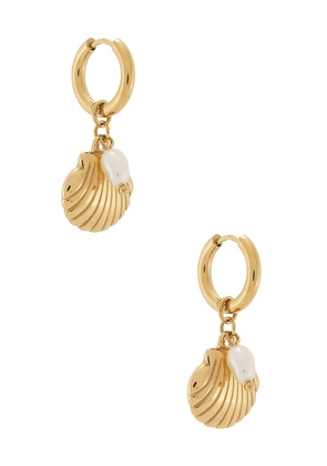 BRACHA Cove Earrings in Metallic Gold.
