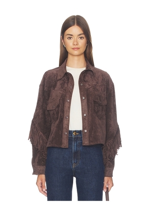 BLANKNYC Cropped Fringe Jacket in Brown. Size XS. Also in S, M, L.