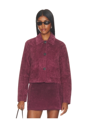 BLANKNYC Suede Jacket in Wine. Size XS. Also in S, M, L.