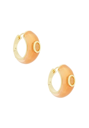 Eddie Borgo Callie Hoop Earrings in Metallic Gold.