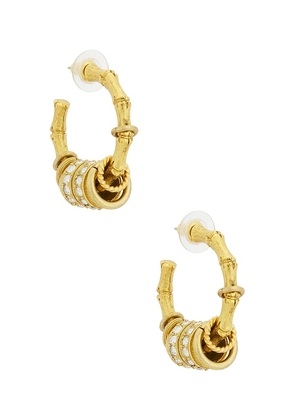 Elizabeth Cole Tinsley Earrings in Metallic Gold.