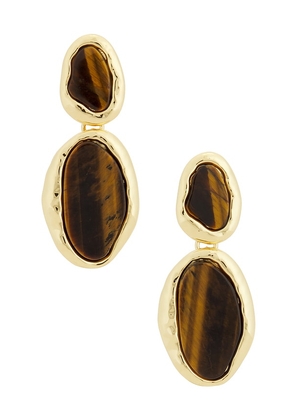 petit moments Spellbound Earrings in Brown.