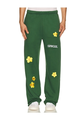 Stay Cool Sunflower Sweatpant in Green. Size S. Also in M, L, XL/1X.