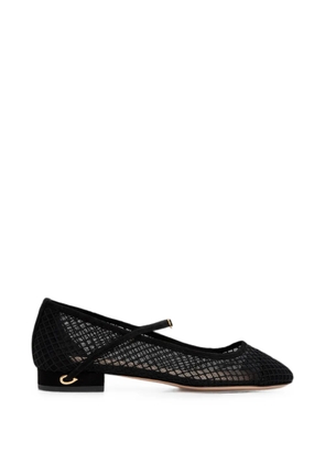 Jennifer Chamandi Paolo mesh ballet flats - Black