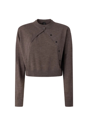 PINKO asymmetric button-fastening sweater - Brown