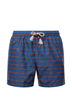 MC2 Saint Barth Lighting cat-print swim shorts - Blue