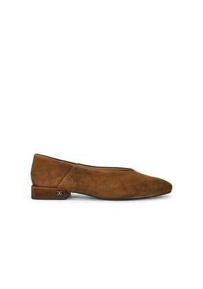 Sam Edelman Kasey Ballet in Brown. Size 6. Also in 6.5, 7, 7.5, 8, 8.5, 9, 9.5, 10.
