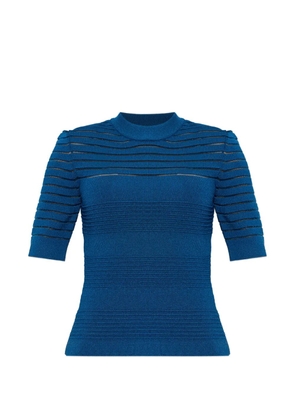 Balmain sheer-panelled lion-head top - Blue