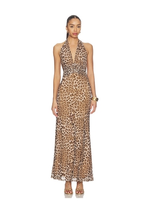Bardot Elera Printed Mesh Maxi Dress in Brown. Size 10. Also in 12, 2, 4, 6, 8.