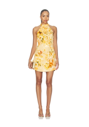 HEMANT AND NANDITA Halter Mini Dress in Yellow. Size L. Also in M, S, XL, XS, XXS.