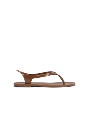 RAYE Ala Flip Flop in Brown. Size 10. Also in 6, 7, 8, 9.