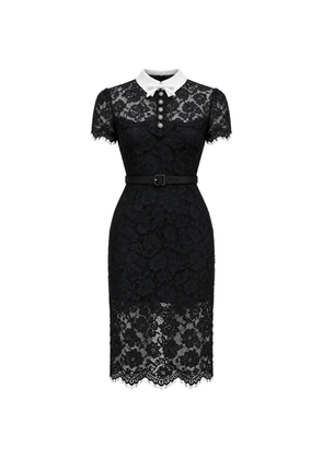 Self-Portrait black lace contrast-collar midi dress