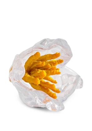 LA MANSO x Tetier Parrot Transparent Growing ring - Orange