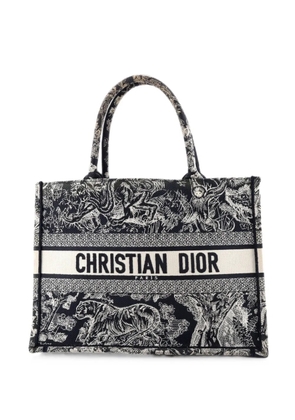 Christian Dior Pre-Owned Book Embroidered Canvas Medium tote bag - Blue