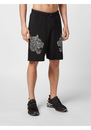 PLEIN SPORT Shorts Men color Black