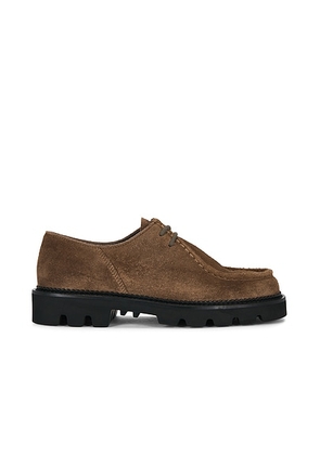 Collegium Pillar Moc-Toe Derby in Brown - Brown. Size 42 (also in 41, 43, 44, 45, 46).