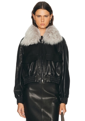 NOUR HAMMOUR Ellery Jacket in Noir Classique - Black. Size S (also in XS, M, L, XL).
