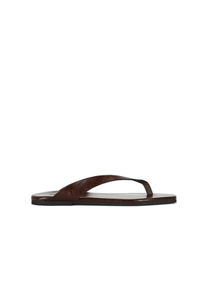 ALOHAS Ola Leather Sandal in Chocolate. Size 35. Also in 36, 37, 38, 39, 40, 41.