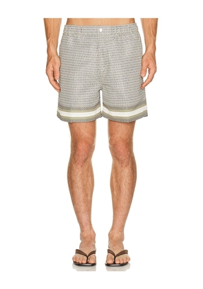 CHE Berkeley Border Printed Swim Short in Green. Size S. Also in M, L, XL/1X.
