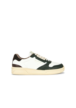 ALLSAINTS Regan Low Top in White. Size 8. Also in 9, 10, 11, 12.