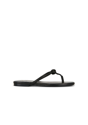 RAYE Aarav Sandal in Black. Size 6. Also in 5.5, 6.5, 7, 7.5, 8, 8.5, 9, 9.5, 10.