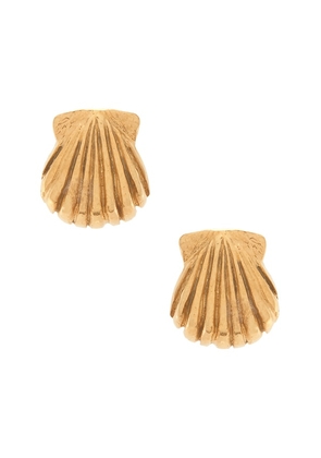 Studio Conchita Conchita Oro Studs in Metallic Gold.
