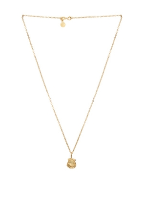 Studio Conchita Conchita Necklace in Metallic Gold.
