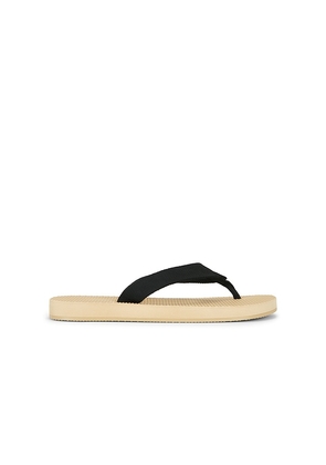 RAYE Cane Flip Flop in Ivory. Size 5. Also in 6, 7, 8, 9, 10.