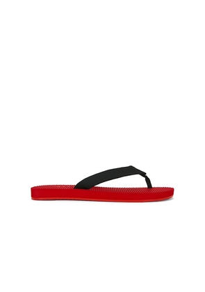 RAYE Cane Flip Flop in Red. Size 5. Also in 6, 7, 8, 9, 10.