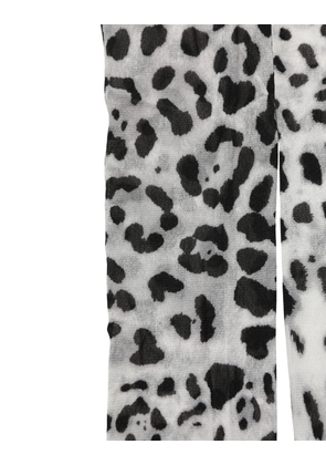 Dolce & Gabbana Gray Leopard Nylon Tights Stocking Pantyhose Socks - S