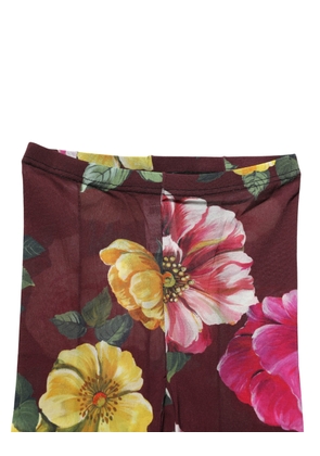 Dolce & Gabbana Maroon Floral Print Tights Sheer Stockings Socks - L
