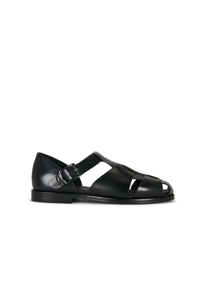 G.H.BASS Potter Flat Sandals in Black. Size 8. Also in 8.5, 9, 9.5, 10, 10.5, 11, 11.5, 12.